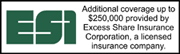 Excess Share Insurance logo